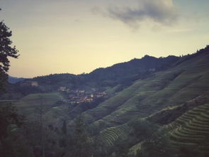 早起是王道，真的！