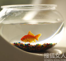 风水养鱼，鱼缸正对入户门，应该养多少条鱼才能招财呢？