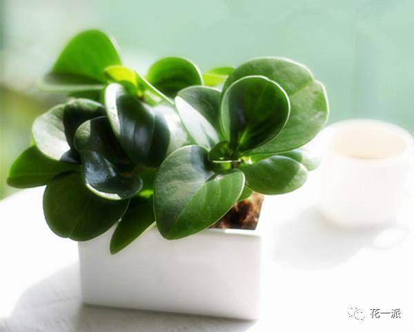 2026年黄历警告！