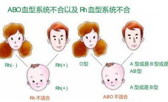 3. 文雅诗意型（让人误以为是书呆子）