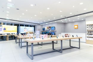 如何没有风水知识，可依成功开设一家风水店铺呢？