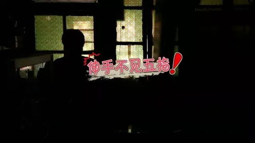 那东西夜晚，  子婴的分尸...