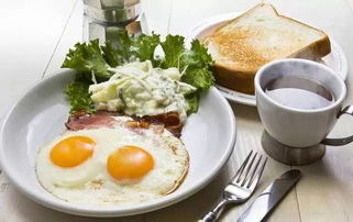 早餐， 旅行中那场关于定价的混沌与爱恨