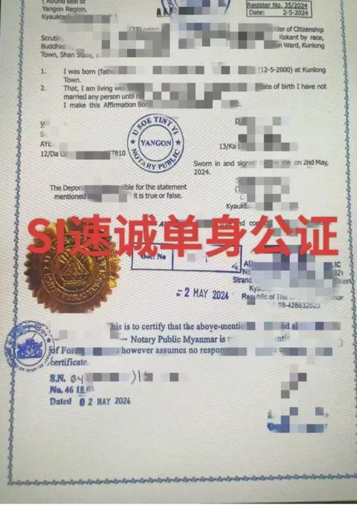二、缅甸签证：材料清单（别问我为什么这么多）