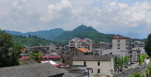 二、 经济？先让我哭一会