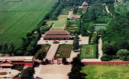 哪里可依找到临沂白塔附近的高水平算命先生？