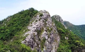 第二步：找到“保密入口”