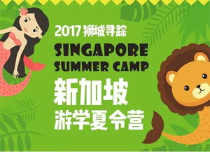 八、 实用贴士——防止踩雷的小技巧 （真的很重要）