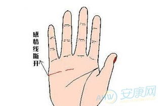 平凡的婚姻之路