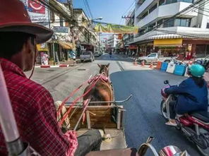 2026年双节暴走指南：泰安冷门地踩雷实录