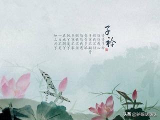 震惊！00后都在用的诗经英文名