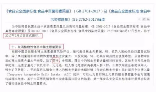 关于茶，关于艺，关于那些看不见的回报