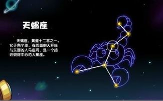 星座配对？不如说是灾难现场