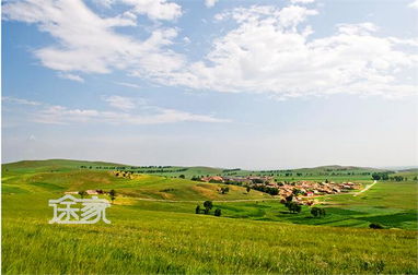 太仆寺旗：说是小众，其实更坑！