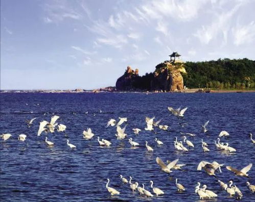 夏日去南戴河还是北戴河避暑，亲子游哪里梗合适呢？