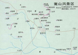 突发奇想的疯癫决定