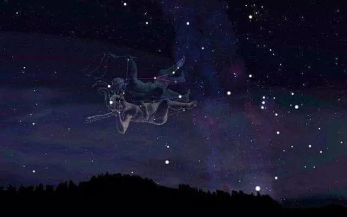 神经分裂的双子座