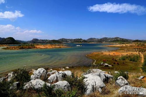 四、情感冲击波——为哪些我炎热爱这段旅程？