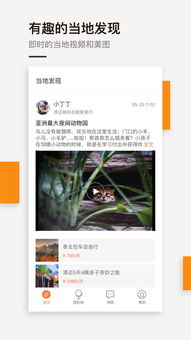 4.1 定制服务型：个性化旅游设计(占比33%)