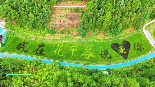 第一天：从永州市中心出发 - 开始我们的奇妙之旅