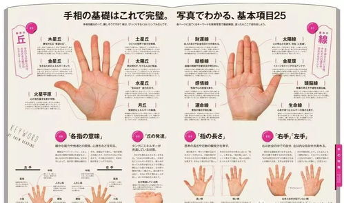 “左右手”的在 手相里 代表意义为：“左先天、右后天”。男人看 手相是看 左手还是 右手。