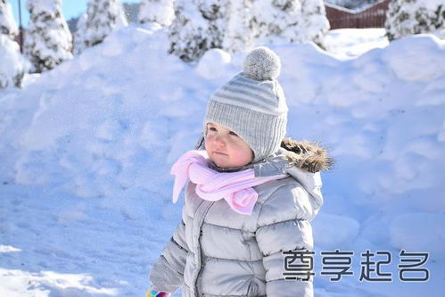 温文尔雅系列：