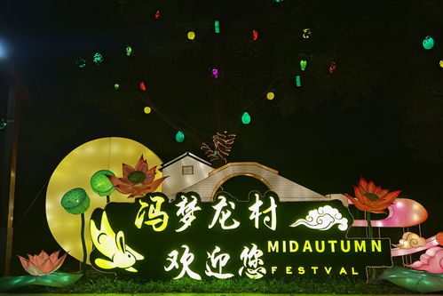 2025年全国灯会瞎逛指南
