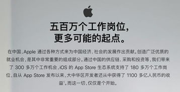 婚姻这玩意儿：一场大型过家家现场