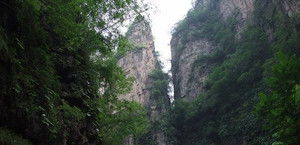 哭辽！这些坑千万别踩！