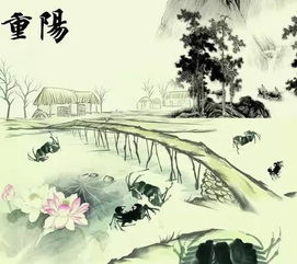 重阳节：登高赏菊，古风传承，节日爆款！