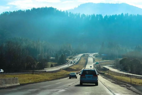 血泪控诉：1号公路的十八宗罪