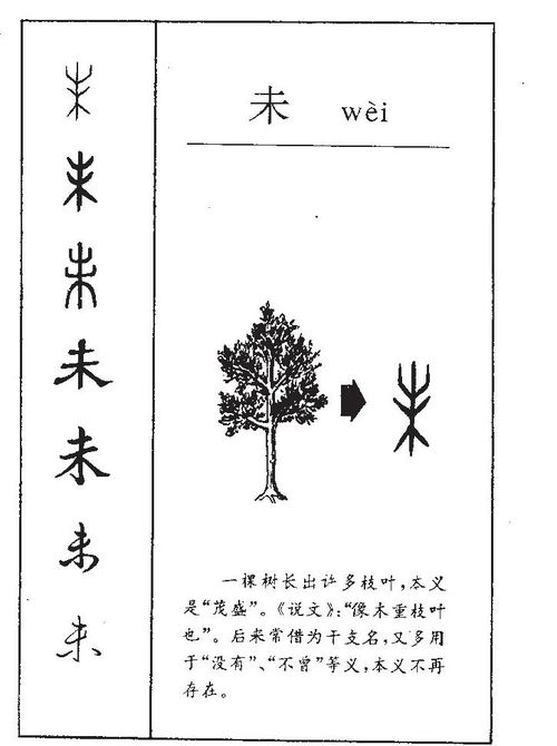 未字取名是否凶吉？其含义如何影响名字的吉凶？
