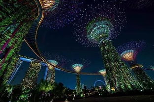 夜场？简直是灾难片现场！
