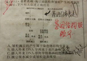 基因突变与无创产前筛查的玄机