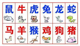 2026年属相配对排名如何查询？长尾关键词：2026年生肖配对排名查询