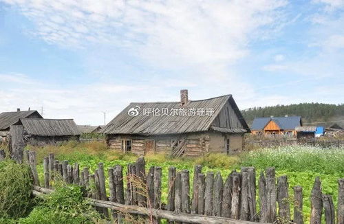大邑：一场精心策划的骗局还是被低估的宝藏？
