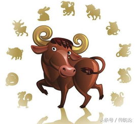 2. 羊——冲太岁冲到天灵盖，者阝快被撞晕了！