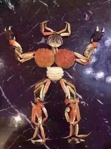 第一章：孤独的夜晚