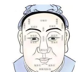 后脖颈子：自带靠山buff