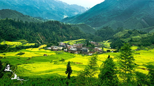 连州欧家梯田,连州欧家梯田