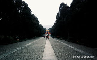 为什么要走这条路？