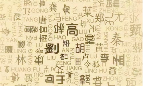 山姓：读音中的独特韵味