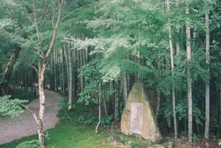 黎明前的黑暗与突如其来的饥饿感