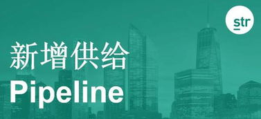 公司战略与未来展望