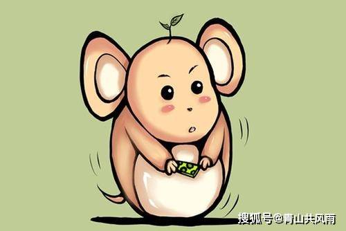 当猪男遇见鼠女：一场星座与生肖的混乱大戏