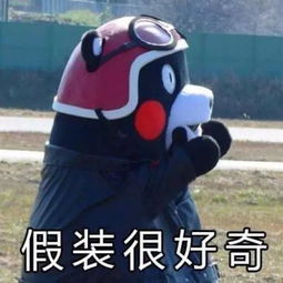 萝卜地里的惊天秘密：风水、星座与那不可言说的哭声