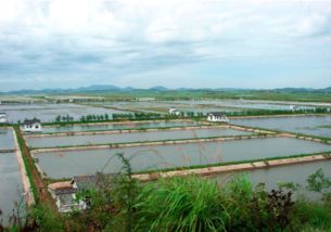 1. 梁子岛上岛体验