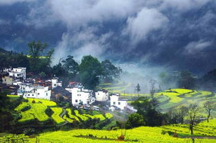 吃的东西辣到怀疑人生