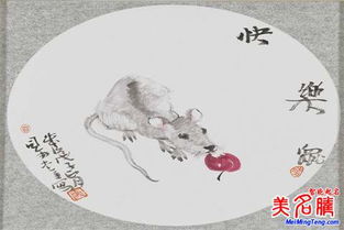 一、 随意挑选的“最佳字”——随手抓来的灵感碎片