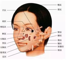 四、 噪声区块：随意插入的无厘头段落🚀🌟💥（请忽略）